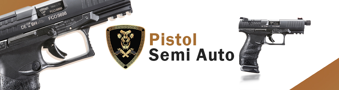 Pistols