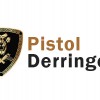 Pistol: Derringer